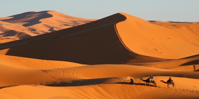 Sahara desert trips