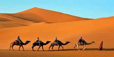 Desert tours