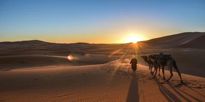 Sahara desert tours